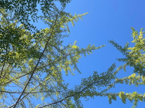 2024年夏季休業のお知らせ