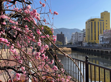 2025年3月も休まず営業