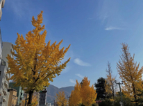 年末年始休業のお知らせ