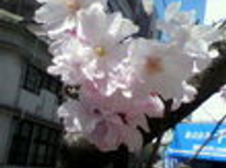 新生活をスタート