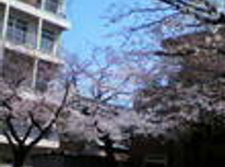 3月は休まず営業！！　ガンバリます！！