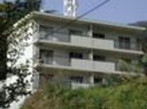 呉市　賃貸　「ペット可マンション」の物件