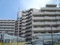 ファミリー向け賃貸物件求む