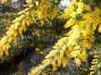 お部屋探しのシーズン到来