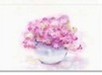 お友達ご紹介下さい。