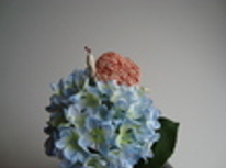 新婚さん向きの物件情報