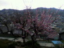 新生活に向けて