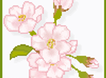 新生活応援！！