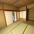  その他の写真