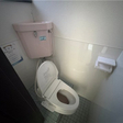  その他の写真