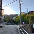  その他の写真