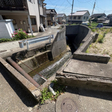  その他の写真