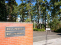 聖セシリア  