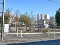 南林間中央公園  