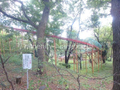 清水寺公園　（楽しそうな滑り台あり）  