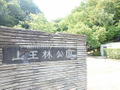 山王林公園  