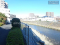 近くを流れる境川。ランニングするのにちょうどいいコースです♪  