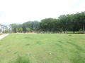 鶴間公園  
