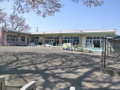 緑野保育園  