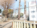 氷川神社  