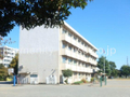 中新田小学校  