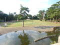相模大野中央公園  