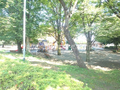 東柏ケ谷近隣公園  