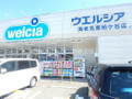ウェルシア  