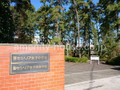 聖セシリア  