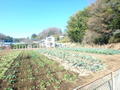 周辺の住環境（とっても落ち着いたかんじです） 