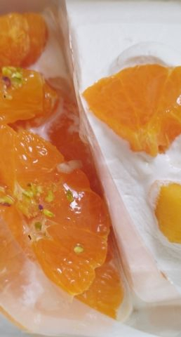 オコジュ東林間