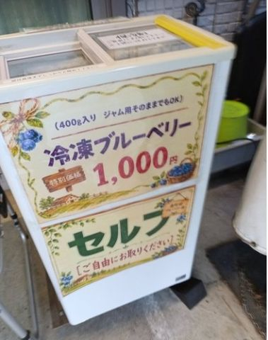 ブルーベリー　中央林間