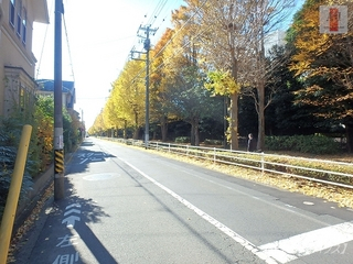 大和市歩行者専用道　2