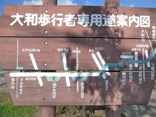 大和市歩行者専用道1