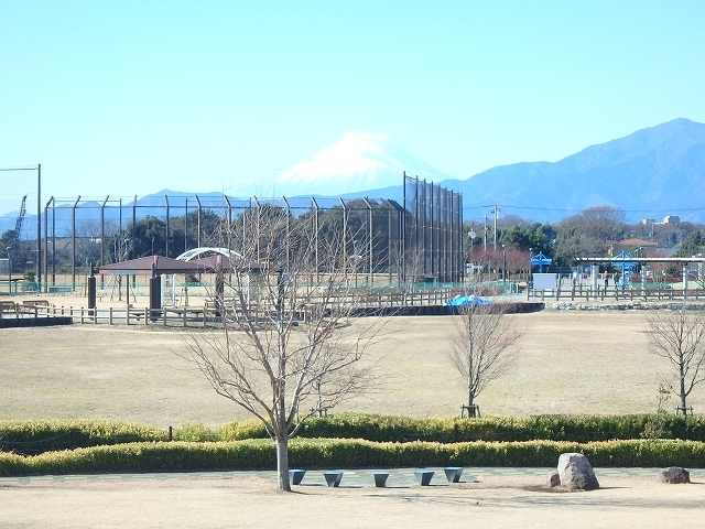 ゆとりの森　富士山