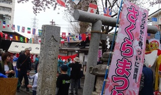 桜ヶ丘　さくら祭り