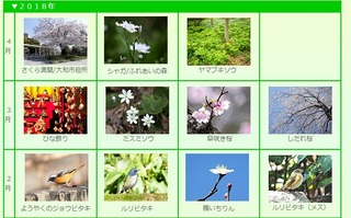 大和市の四季