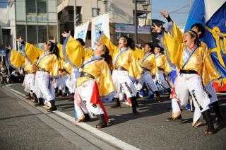 よさこい　高座渋谷