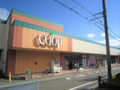 ユーコープ湘南台店（563m）  