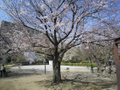 柏山公園（1031m）  