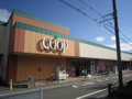 ユーコープ湘南台店（325m）  