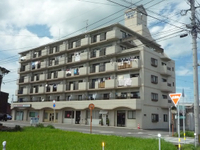 外観図