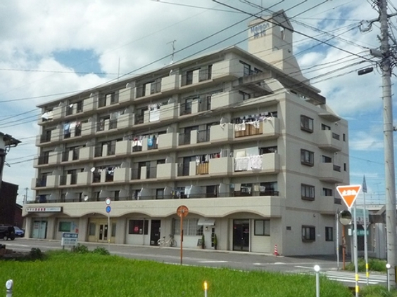 外観図