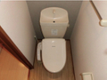  その他の写真 