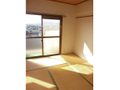  その他の写真 