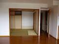  その他の写真 