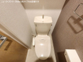  その他の写真 