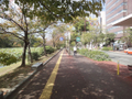  その他の写真  