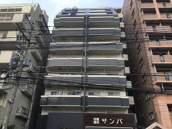 外観図