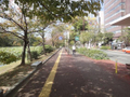  その他の写真 